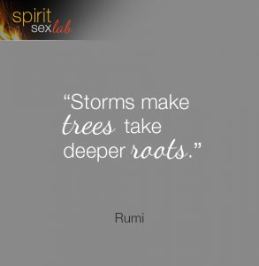 storms make trees take deeper rootes